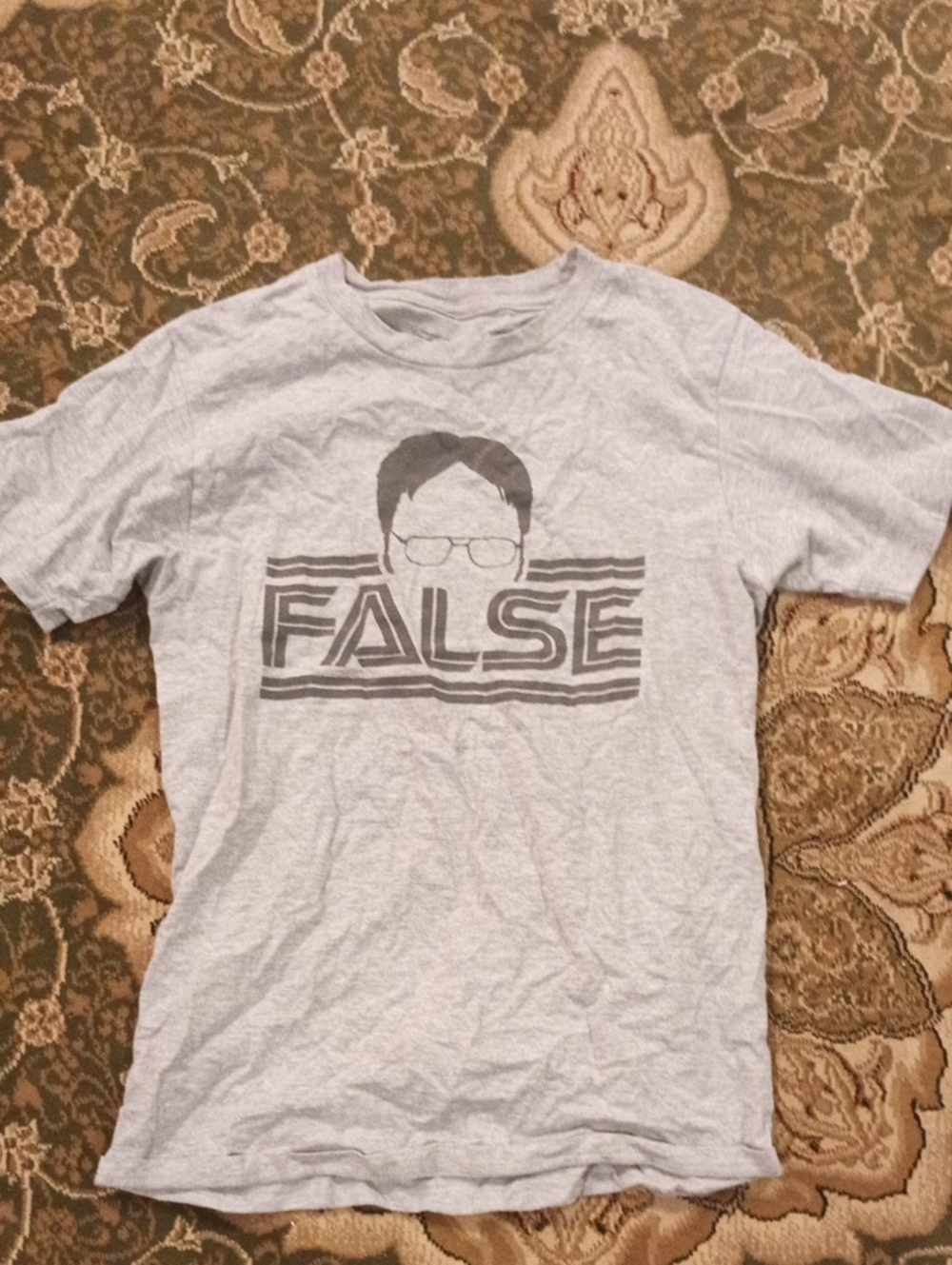 Gray Graphic Men's T-Shirt with 'FALSE' Print